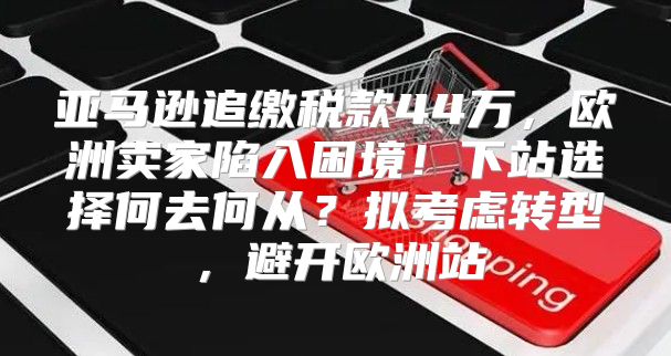 亚马逊追缴税款44万，欧洲卖家陷入困境！下站选择何去何从？拟考虑转型，避开欧洲站