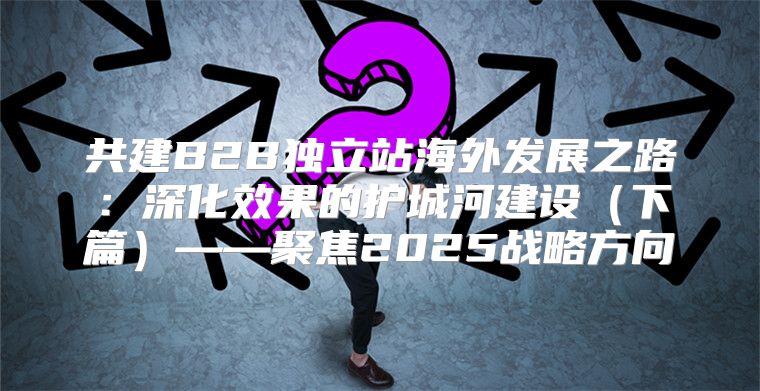 共建B2B独立站海外发展之路：深化效果的护城河建设下篇——聚焦2025战略方向
