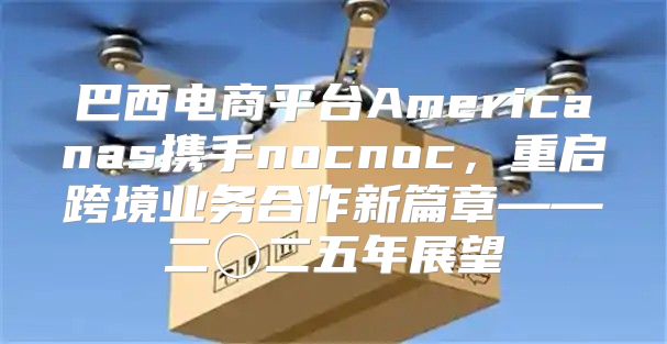 巴西电商平台Americanas携手nocnoc，重启跨境业务合作新篇章——二〇二五年展望