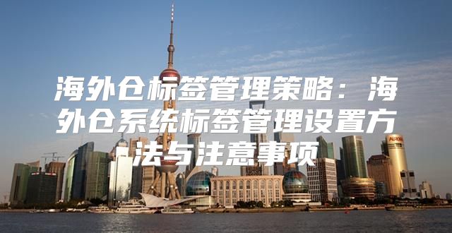 海外仓标签管理策略：海外仓系统标签管理设置方法与注意事项