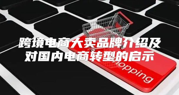 跨境电商大卖品牌介绍及对国内电商转型的启示