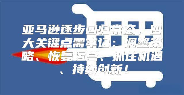 亚马逊逐步回归常态，四大关键点需牢记：调整策略、恢复运营、抓住机遇、持续创新！