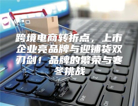跨境电商转折点，上市企业亮品牌与迎铺货双刃剑！品牌的繁荣与寒冬挑战