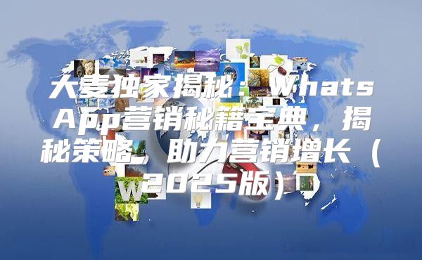 大麦独家揭秘：WhatsApp营销秘籍宝典，揭秘策略，助力营销增长2025版