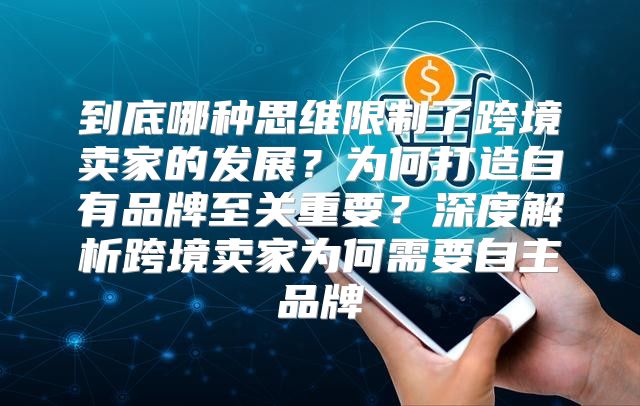 到底哪种思维限制了跨境卖家的发展？为何打造自有品牌至关重要？深度解析跨境卖家为何需要自主品牌