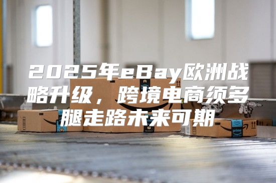 2025年eBay欧洲战略升级，跨境电商须多腿走路未来可期