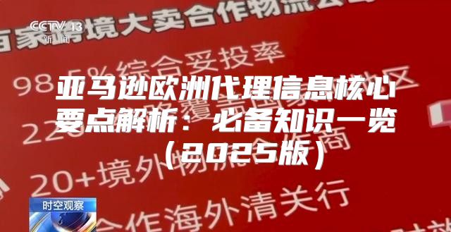 亚马逊欧洲代理信息核心要点解析：必备知识一览2025版