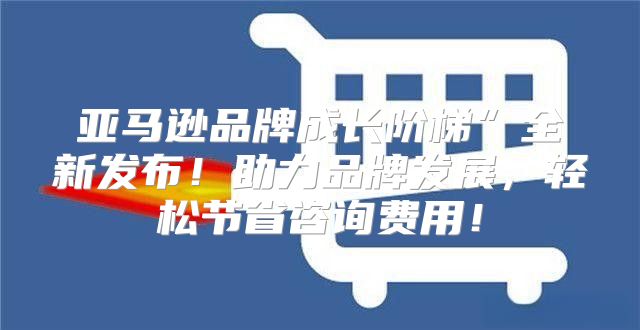 亚马逊品牌成长阶梯”全新发布！助力品牌发展，轻松节省咨询费用！