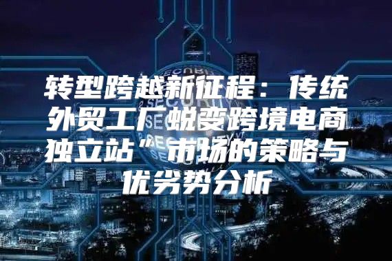 转型跨越新征程：传统外贸工厂蜕变跨境电商独立站”市场的策略与优劣势分析