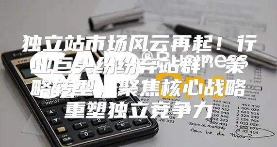 独立站市场风云再起！行业巨头纷纷弃站群”策略转型，聚焦核心战略重塑独立竞争力