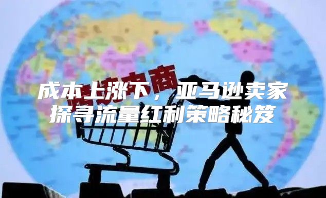 成本上涨下，亚马逊卖家探寻流量红利策略秘笈