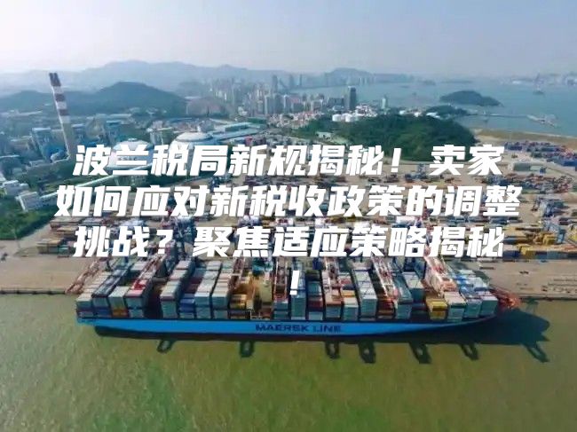波兰税局新规揭秘！卖家如何应对新税收政策的调整挑战？聚焦适应策略揭秘！