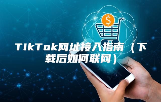 TikTok网址接入指南下载后如何联网