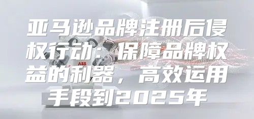 亚马逊品牌注册后侵权行动：保障品牌权益的利器，高效运用手段到2025年