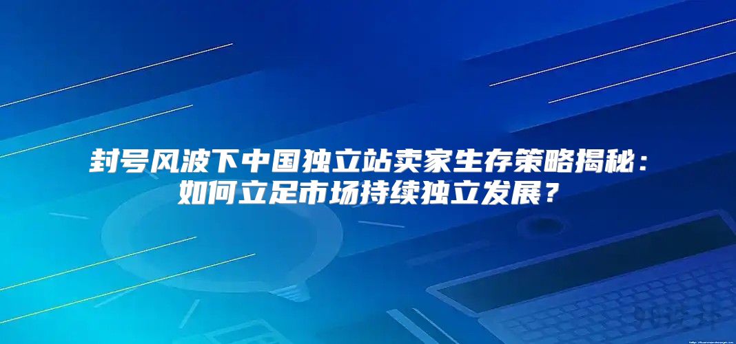 封号风波下中国独立站卖家生存策略揭秘：如何立足市场持续独立发展？