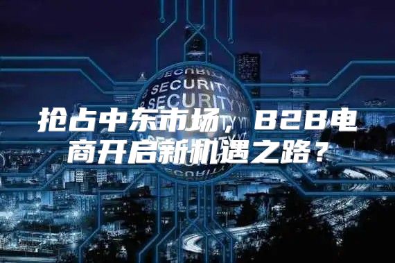 抢占中东市场，B2B电商开启新机遇之路？