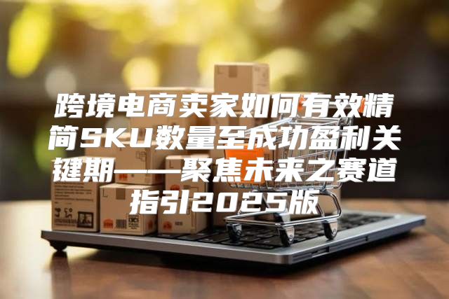 跨境电商卖家如何有效精简SKU数量至成功盈利关键期——聚焦未来之赛道指引2025版