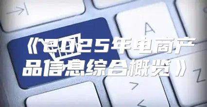 2025年电商产品信息综合概览