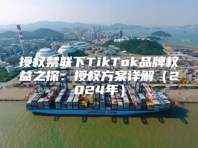 授权禁联下TikTok品牌权益之探：授权方案详解2025年