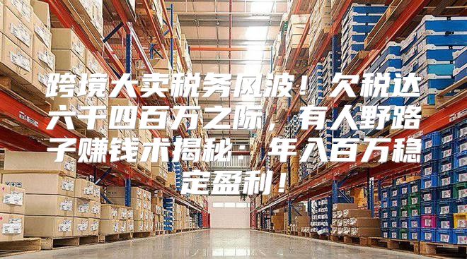 跨境大卖税务风波！欠税达六千四百万之际，有人野路子赚钱术揭秘：年入百万稳定盈利！