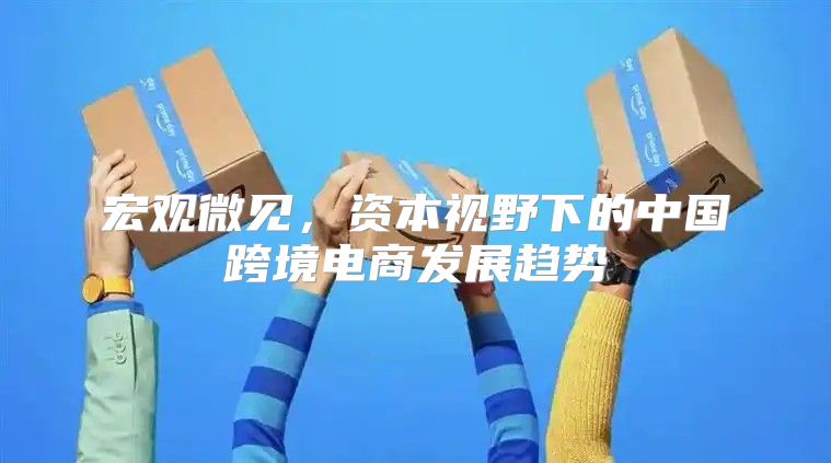 宏观微见，资本视野下的中国跨境电商发展趋势