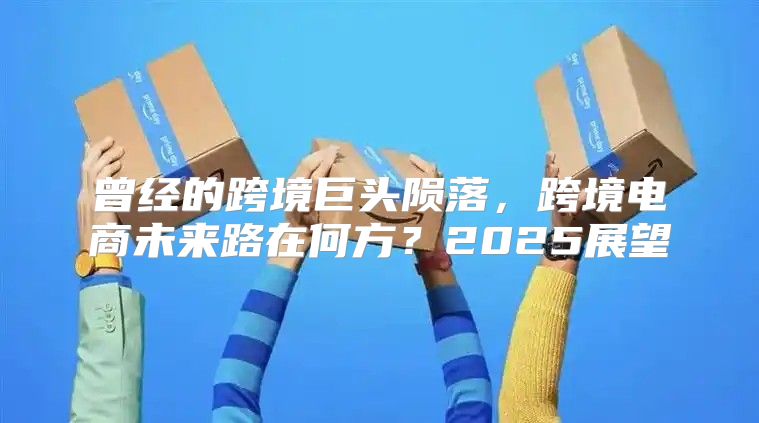 曾经的跨境巨头陨落，跨境电商未来路在何方？2025展望