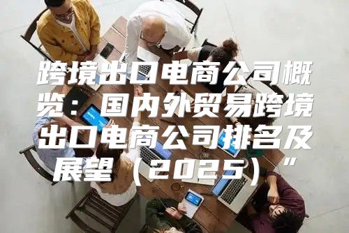 跨境出口电商公司概览：国内外贸易跨境出口电商公司排名及展望2025”