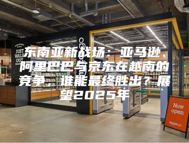 东南亚新战场：亚马逊、阿里巴巴与京东在越南的竞争，谁能最终胜出？展望2025年