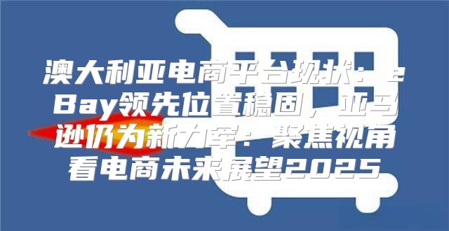 澳大利亚电商平台现状：eBay领先位置稳固，亚马逊仍为新力军：聚焦视角看电商未来展望2025