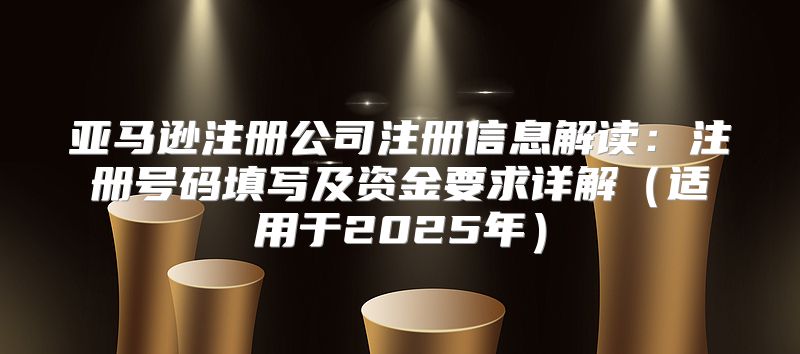 亚马逊注册公司注册信息解读：注册号码填写及资金要求详解适用于2025年