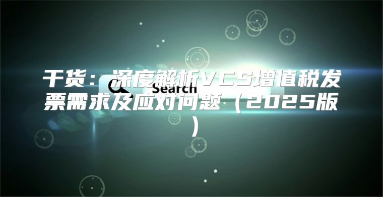 干货：深度解析VCS增值税发票需求及应对问题2025版