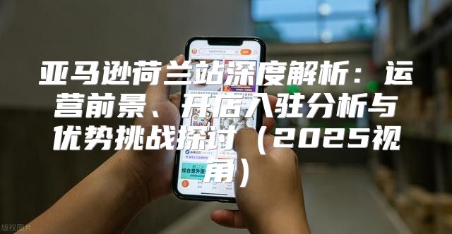亚马逊荷兰站深度解析：运营前景、开店入驻分析与优势挑战探讨2025视角