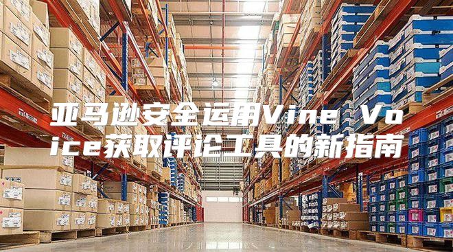 亚马逊安全运用Vine Voice获取评论工具的新指南