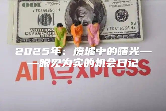 2025年：废墟中的曙光——眼见为实的机会日记