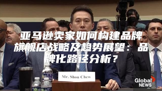 亚马逊卖家如何构建品牌旗舰店战略及趋势展望：品牌化路径分析？