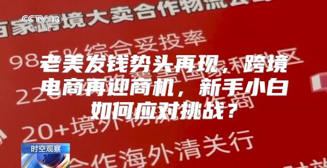 老美发钱势头再现，跨境电商再迎商机，新手小白如何应对挑战？