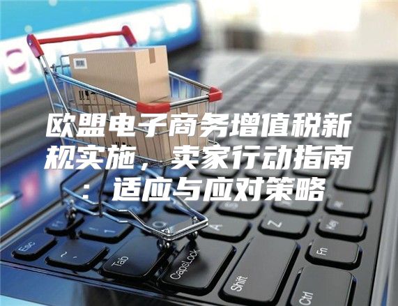欧盟电子商务增值税新规实施，卖家行动指南：适应与应对策略