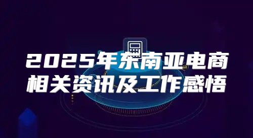 2025年东南亚电商相关资讯及工作感悟