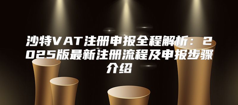 沙特VAT注册申报全程解析：2025版最新注册流程及申报步骤介绍
