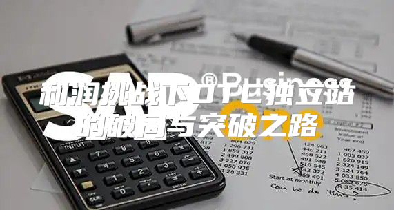 利润挑战下DTC独立站的破局与突破之路