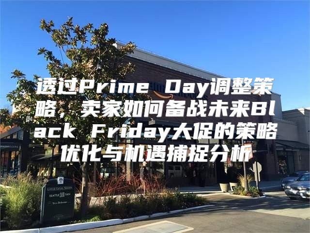 透过Prime Day调整策略，卖家如何备战未来Black Friday大促的策略优化与机遇捕捉分析