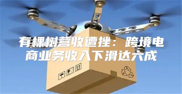 有棵树营收遭挫：跨境电商业务收入下滑达六成