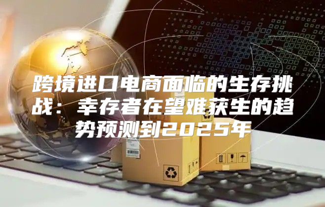 跨境进口电商面临的生存挑战：幸存者在望难获生的趋势预测到2025年