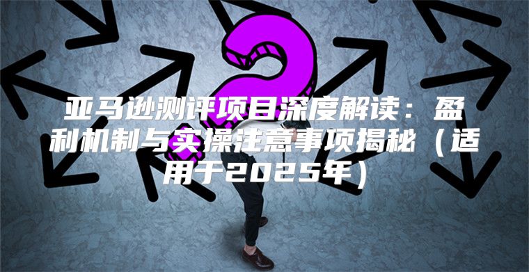 亚马逊测评项目深度解读：盈利机制与实操注意事项揭秘适用于2025年