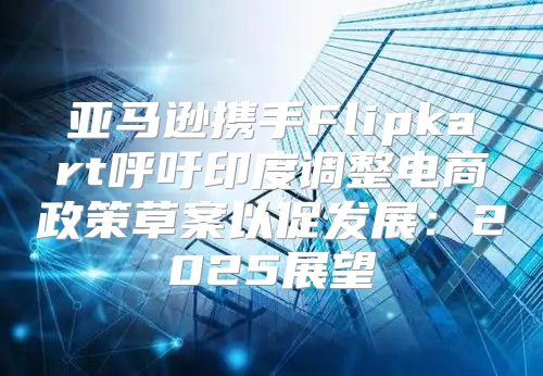 亚马逊携手Flipkart呼吁印度调整电商政策草案以促发展：2025展望