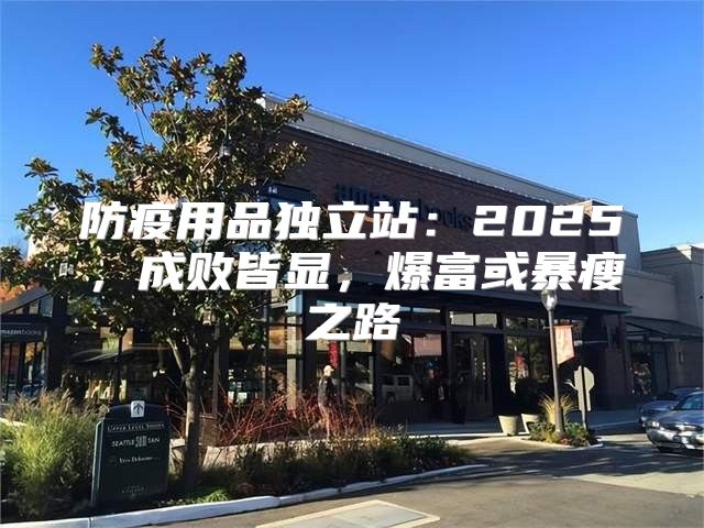 防疫用品独立站：2025，成败皆显，爆富或暴瘦之路