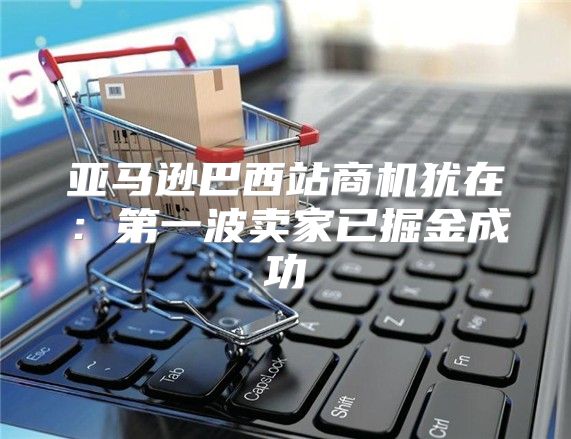 亚马逊巴西站商机犹在：第一波卖家已掘金成功