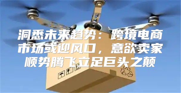 洞悉未来趋势：跨境电商市场或迎风口，意欲卖家顺势腾飞立足巨头之颠