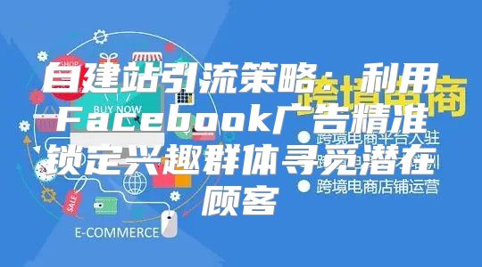 自建站引流策略：利用Facebook广告精准锁定兴趣群体寻觅潜在顾客