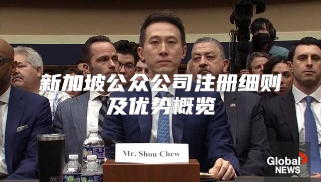新加坡公众公司注册细则及优势概览